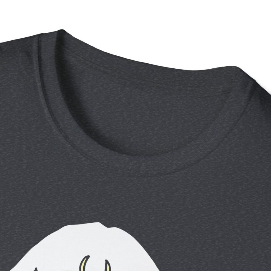 Aurora Unisex Softstyle T-Shirt