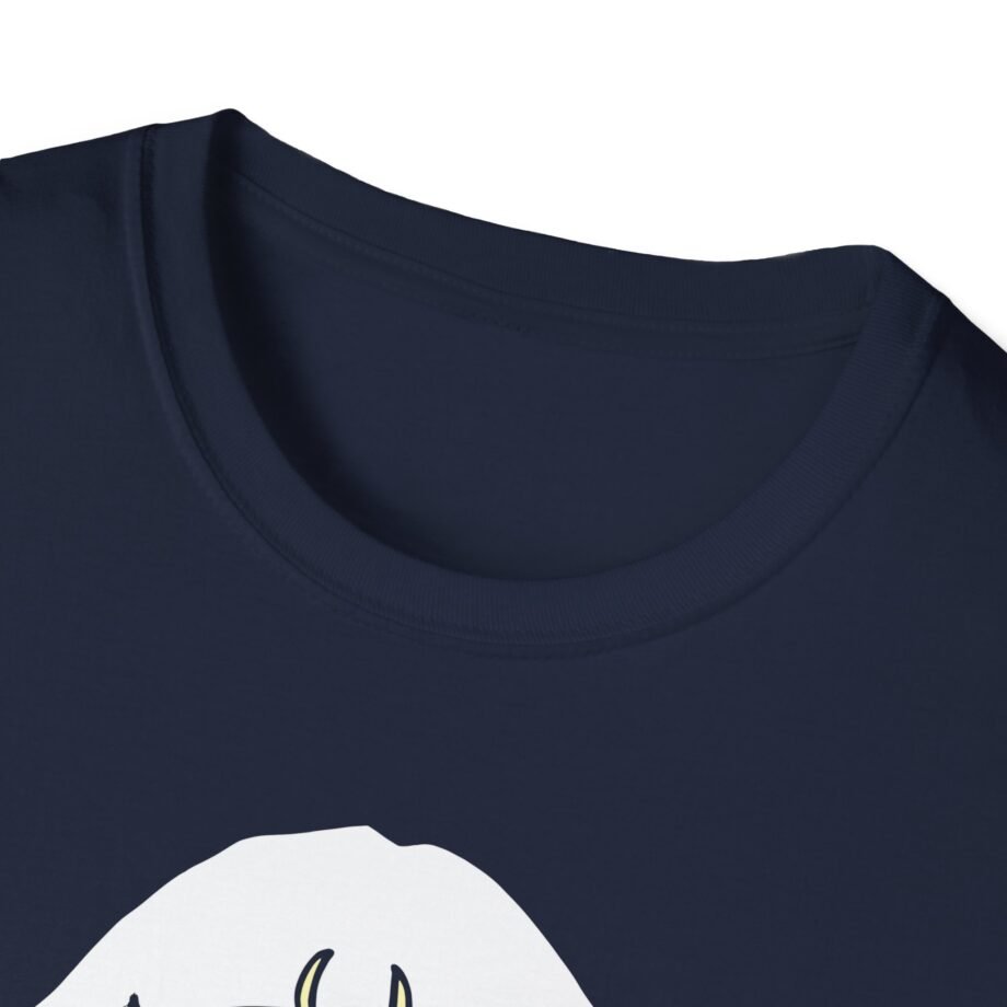 Aurora Unisex Softstyle T-Shirt