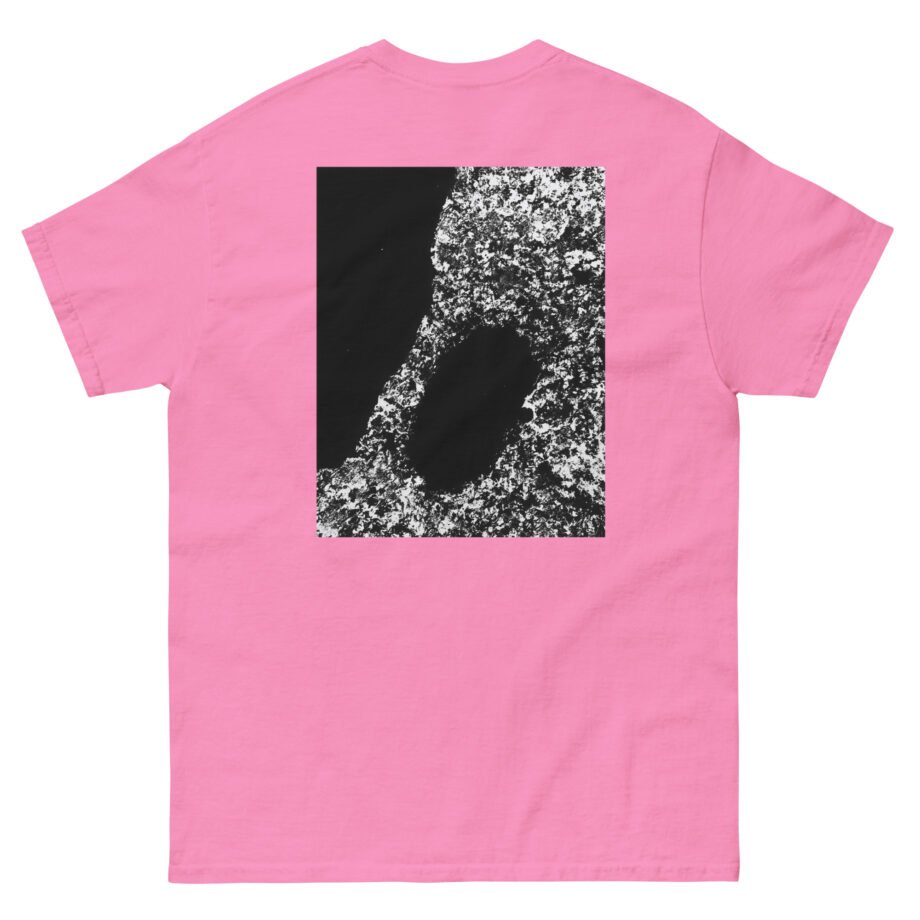 Bicep AYR Unisex classic tee