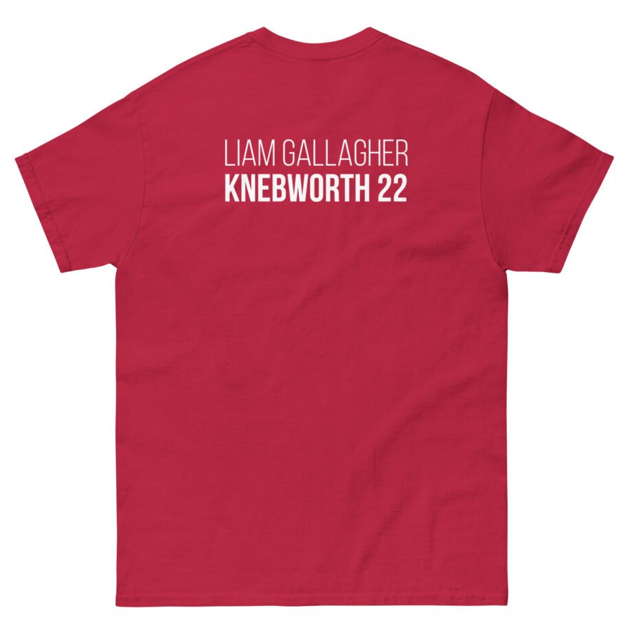 Liam Gallagher Knebworth 22 Live Photo Unisex classic tee