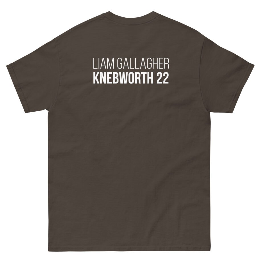 Liam Gallagher Knebworth 22 Live Photo Unisex classic tee