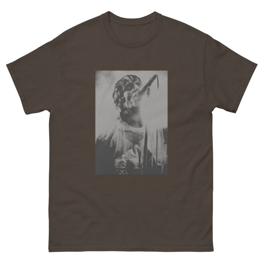 Liam Gallagher Knebworth 22 Live Photo Unisex classic tee