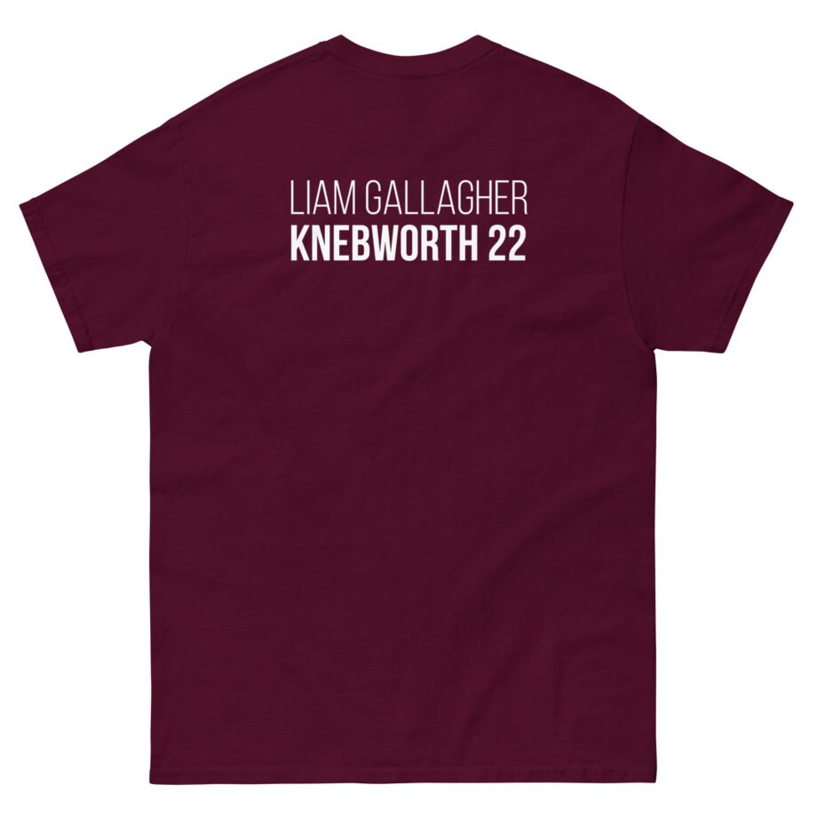 Liam Gallagher Knebworth 22 Live Photo Unisex classic tee