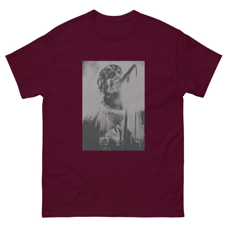 Liam Gallagher Knebworth 22 Live Photo Unisex classic tee
