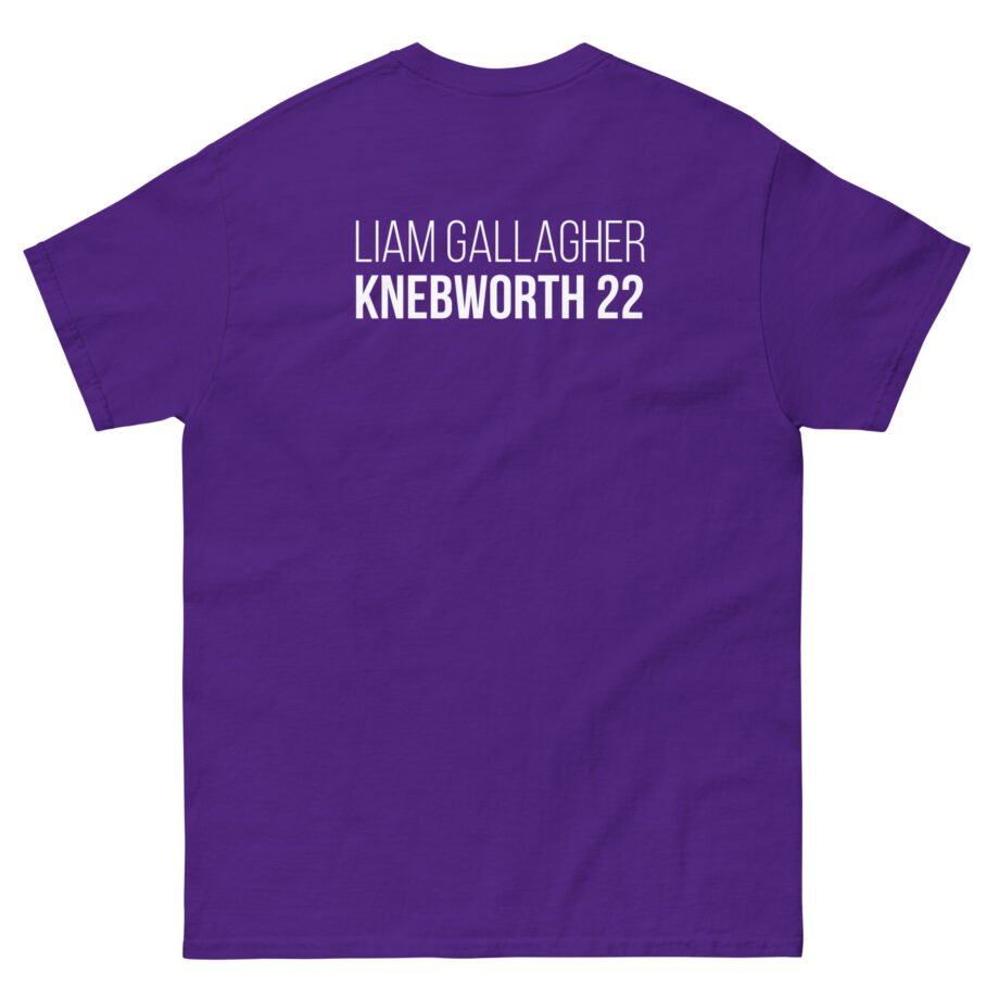 Liam Gallagher Knebworth 22 Live Photo Unisex classic tee